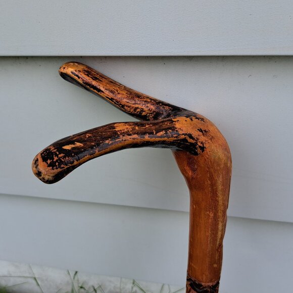 Jamaican Walking Stick - Picture 10 of 11